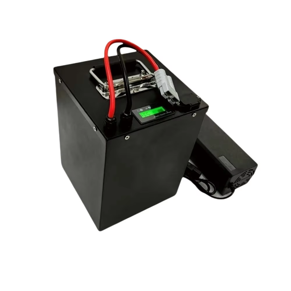 Paquete de baterías Lifepo4 de - 72V 30Ah Lifepo4 Battery Pack reseña y precio